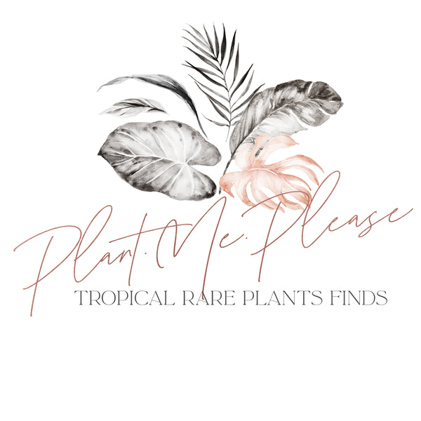 Plants.Me.Please.TH